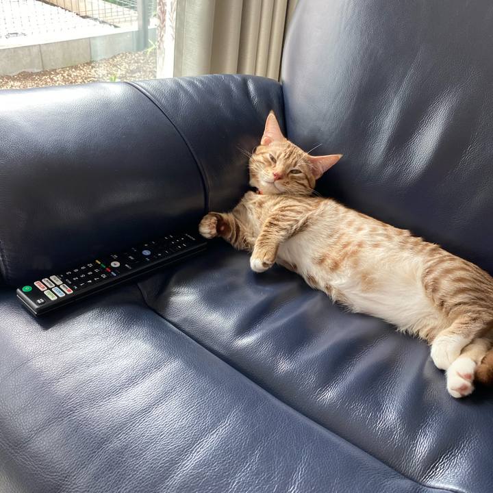 98568ff7 4c5e 417f 956e c55e7dd4951a 1598153700442