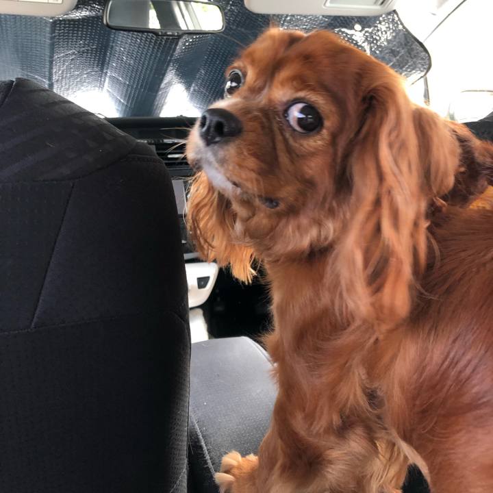 98569ee4 0897 448a 96a9 43f3c7f4e463 1628297003382