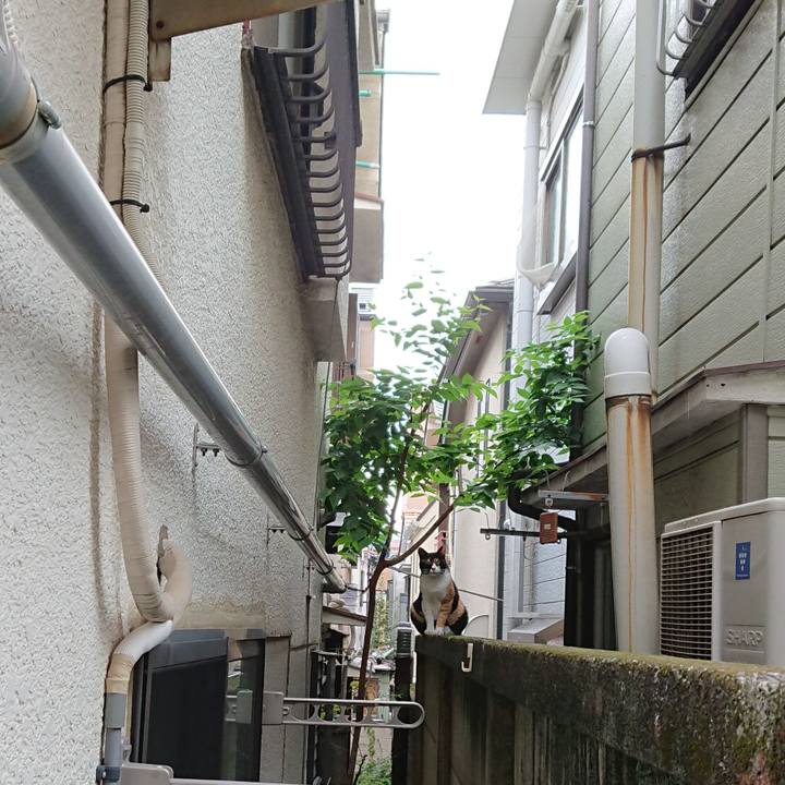 9856aeaf 5994 4741 97b9 19814cbc6f88 1629509712937