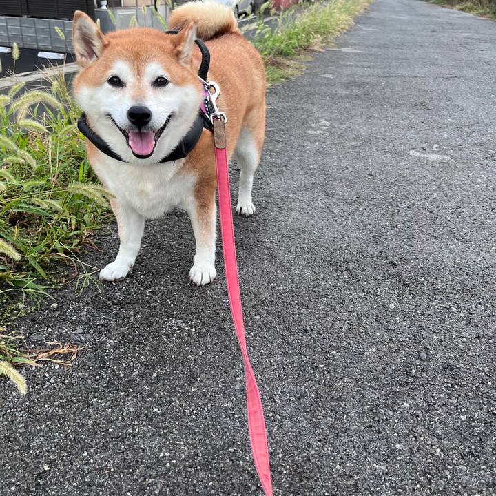 9856c4db a5fc 4071 b0cb 72868496e2da 1694770496166