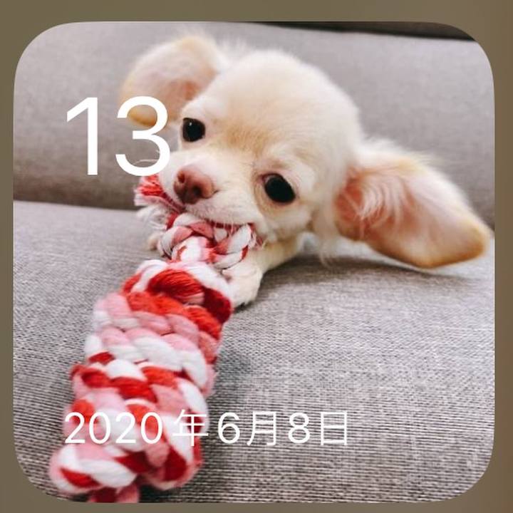 9856e86b 5e22 4e72 8727 7b8f03315f9e 1686632069482