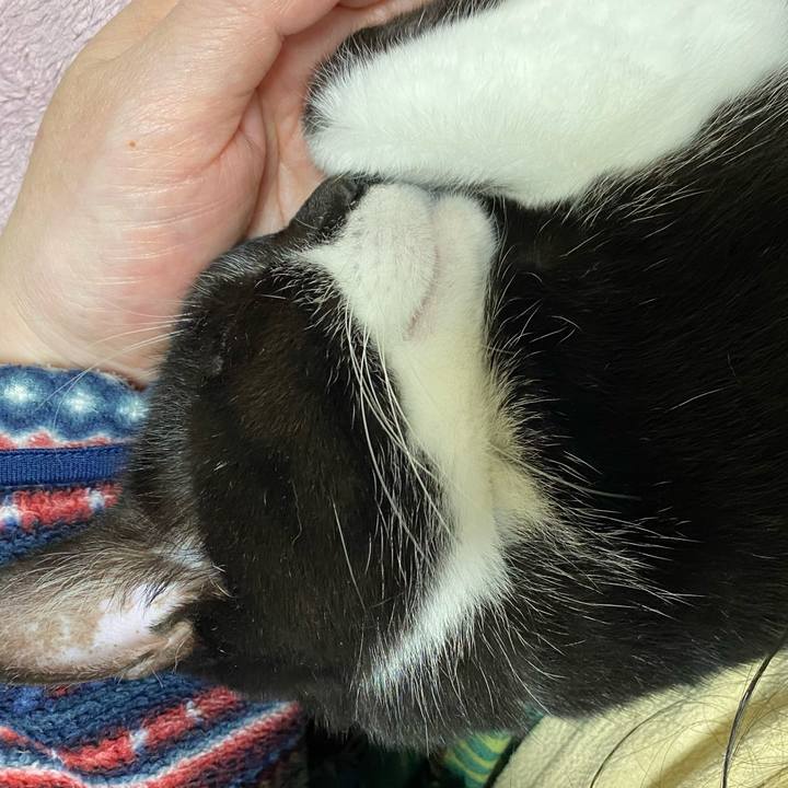 9856fba1 e5a5 41bb 9107 345b4da70f37 1609077064487