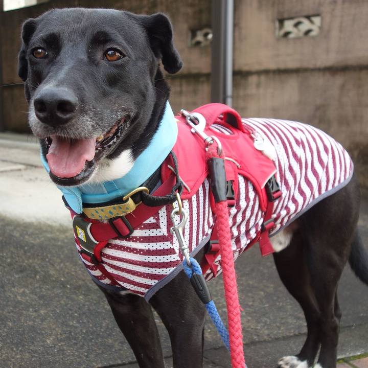 9857051e 6980 4f0b 8a6c ab3bd7b44ac1 1627689744271