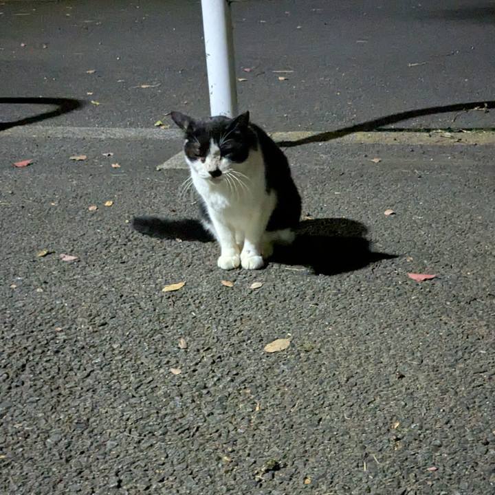 9857a55e 5d50 440e 811c 3cb1d9b9398c 1759855162195