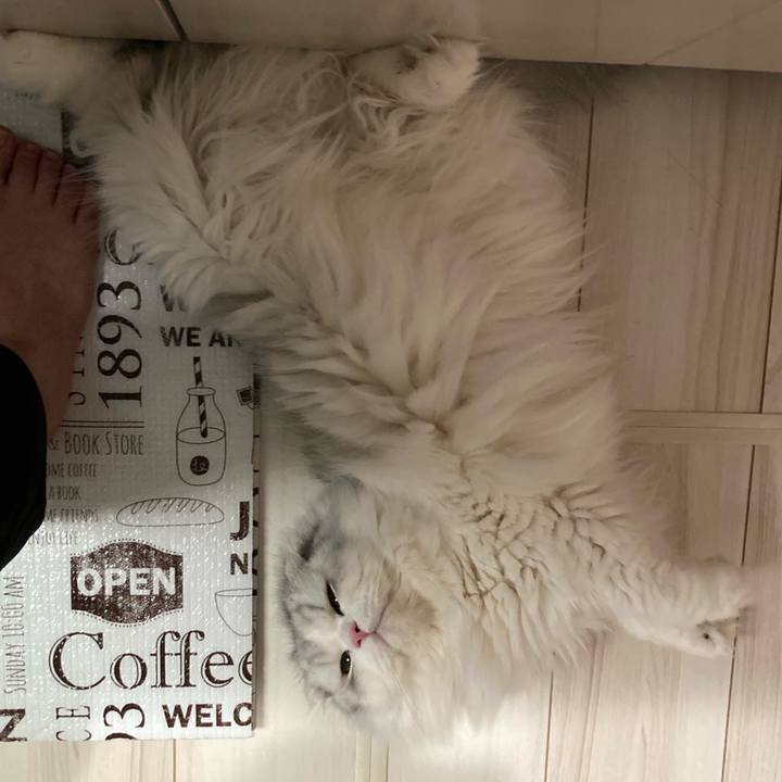 9857a9a7 85ed 4038 8511 9a0fdd34b540 1632357085888