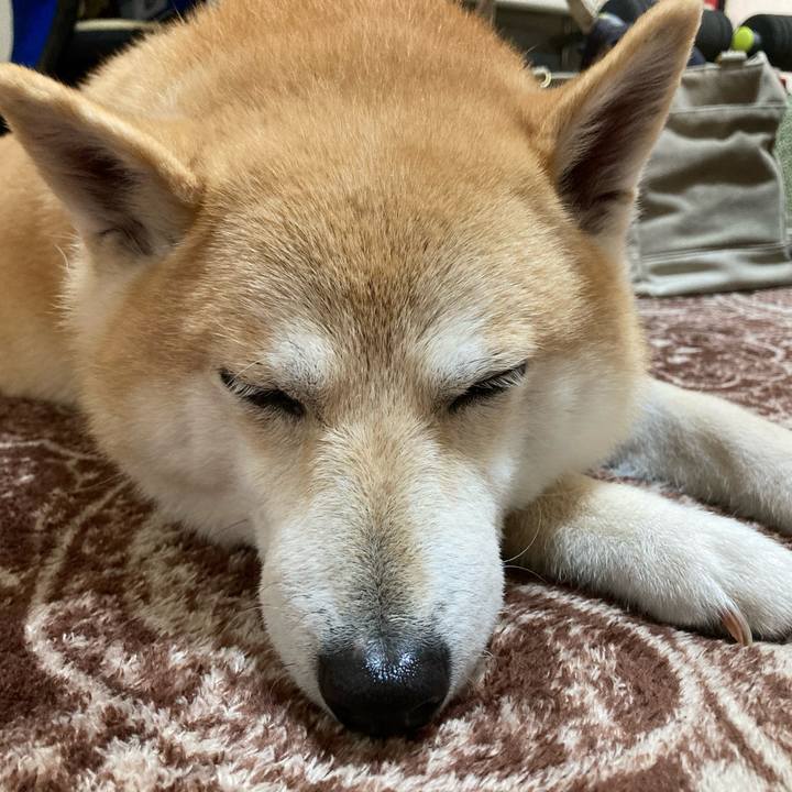 9857b453 2324 4d1c b873 8b5b4d603091 1616330491394