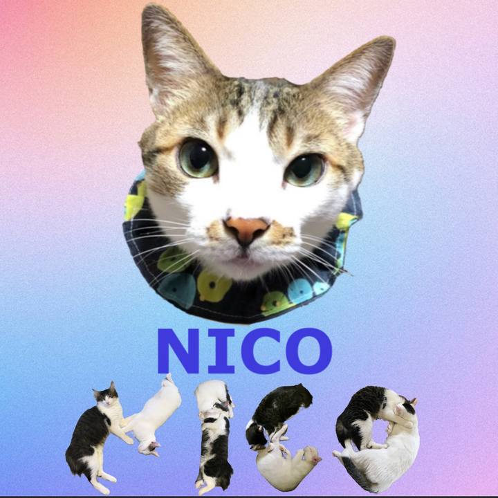 9857c828 5253 42cf 8609 d677c8cd832c 1667689119267