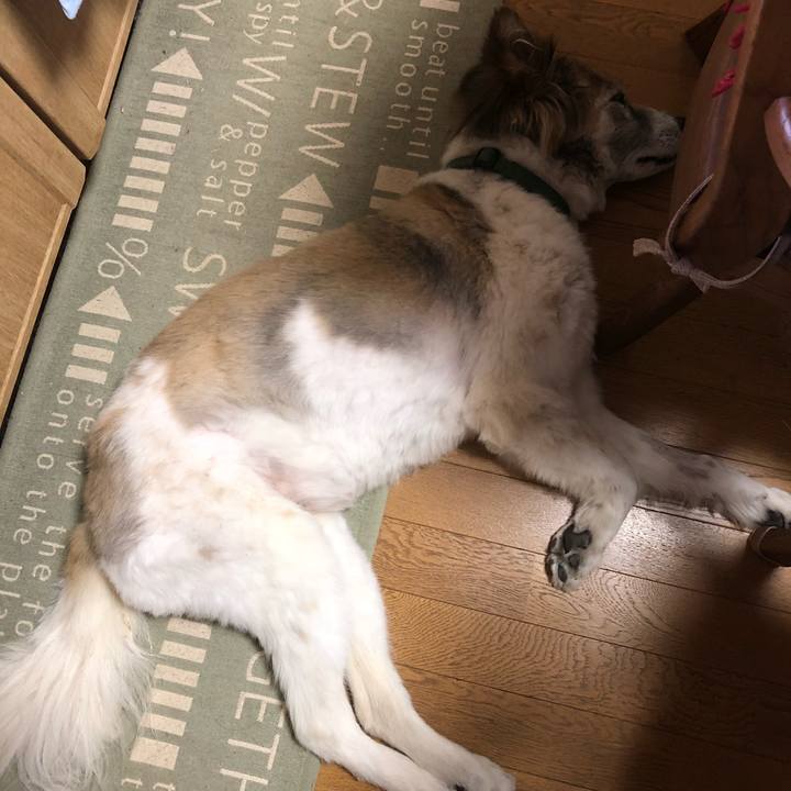 9857cb96 ad44 4514 81f3 e3addc153350 1525214810909