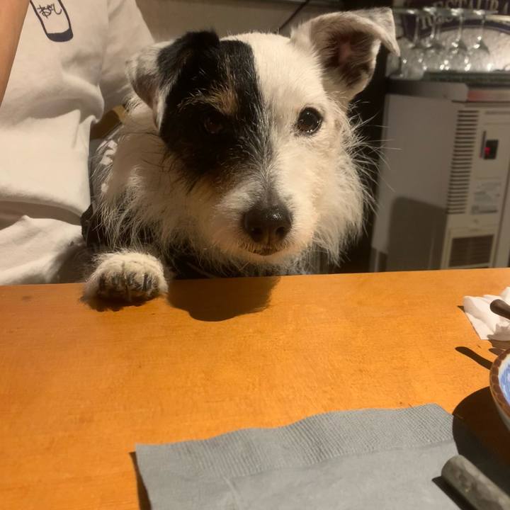 9857db6f cb65 4156 aa80 73d1b552fa3a 1745193552236