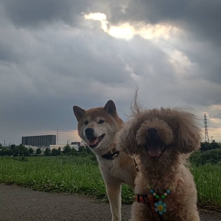 98581d42 b8d7 428d a528 8de5d1c67f42 1623746588504