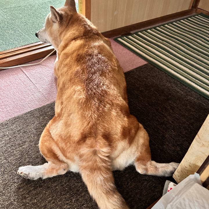 98586ec3 ded9 4ad7 8422 02ae7efcd635 1752247997319