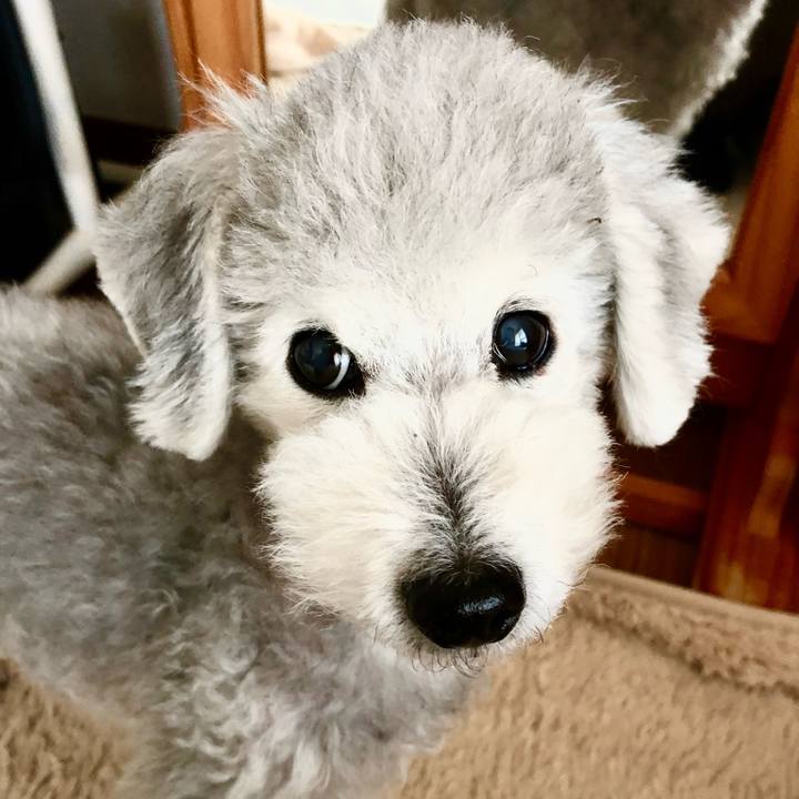 9858b1b2 5552 43a1 8e96 2c9486a68495 1712140890398