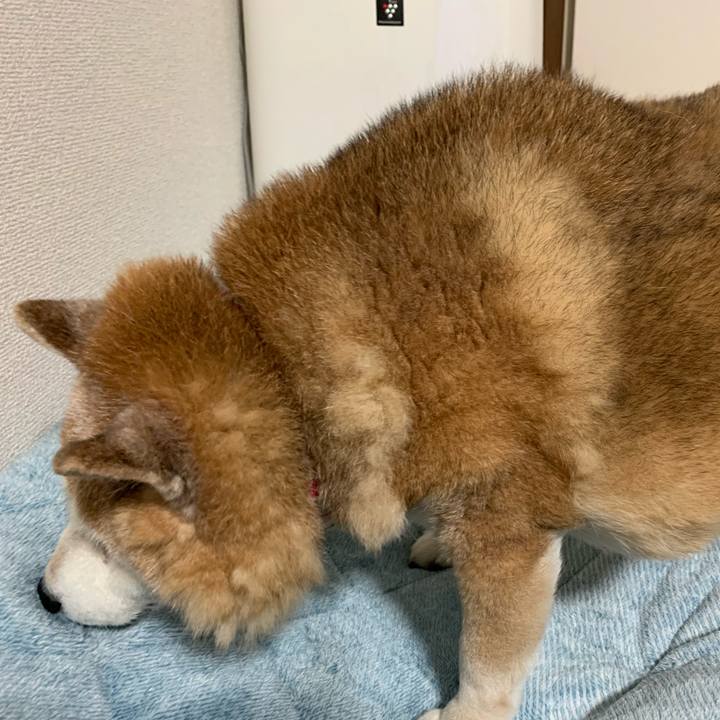 9858f86a 941a 405a 95ba 9b335e3accf2 1615020537707