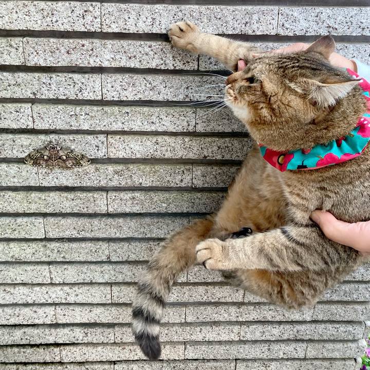 98590235 814e 431b b80f 18cb5a4a4018 1680739064982