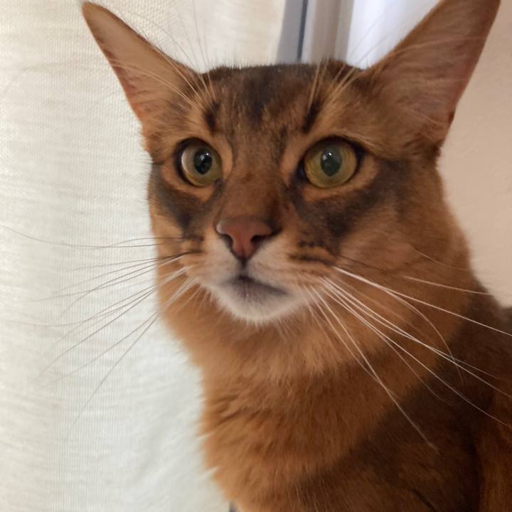 985913ee 46c4 411b 8011 53323510912e 1668232147835