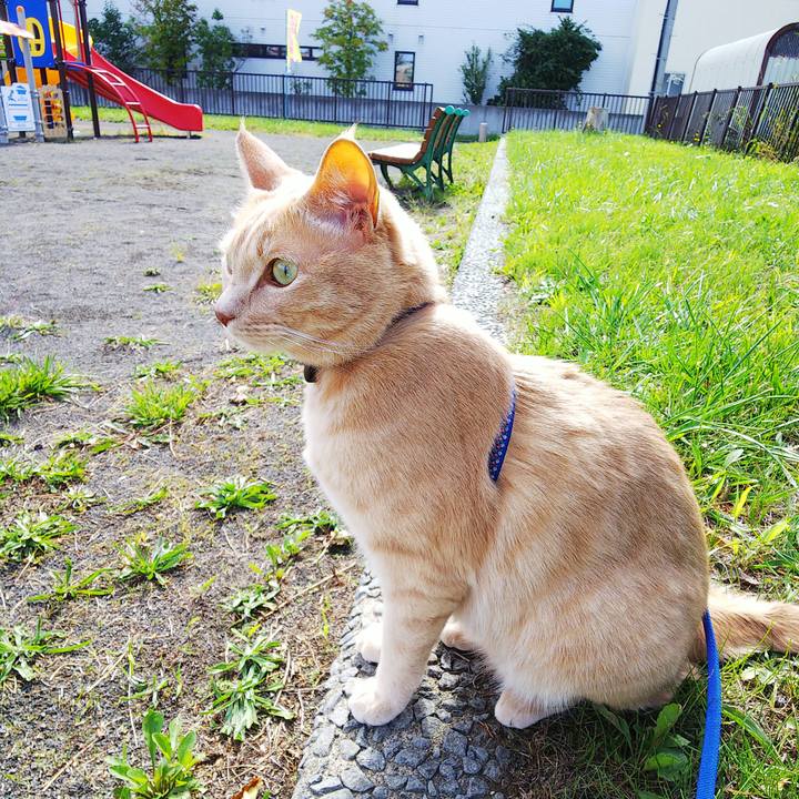 985947b3 3523 4e67 8ae2 d3c562d8e783 1631580674733