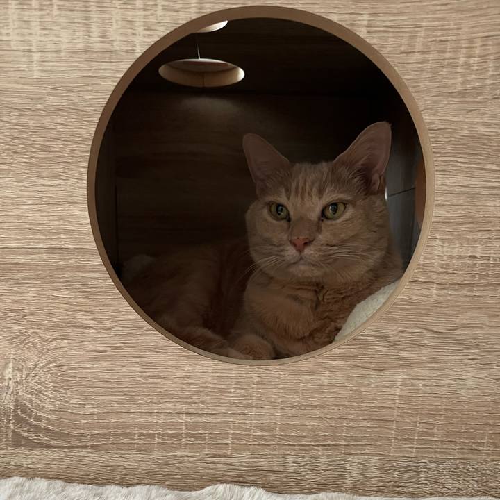 98596931 afeb 470b 8c02 3b9f539717c9 1667892275104