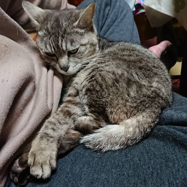 98599661 9b5d 4eaf 9a69 5a332c64f917 1560254313012