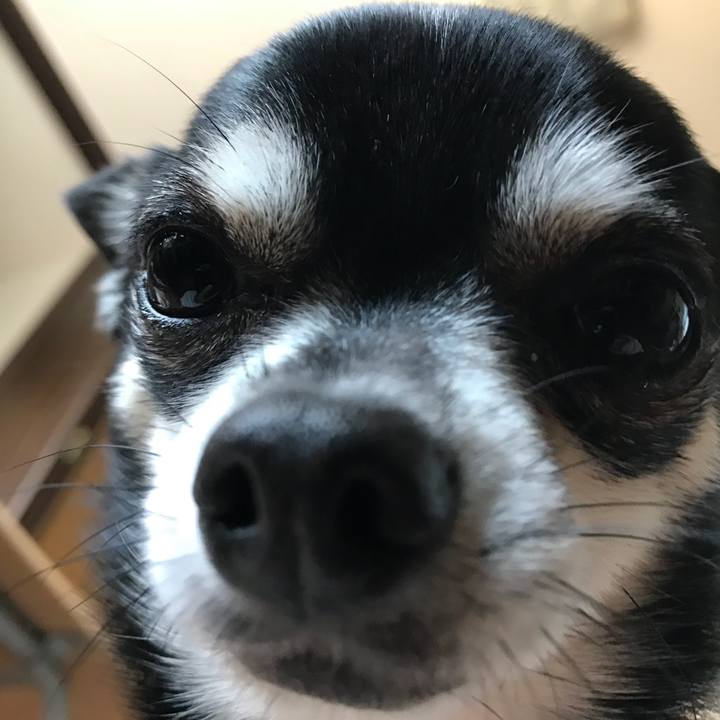 98599967 e7ef 419a 8a63 ba2d80df191c 1526123729355