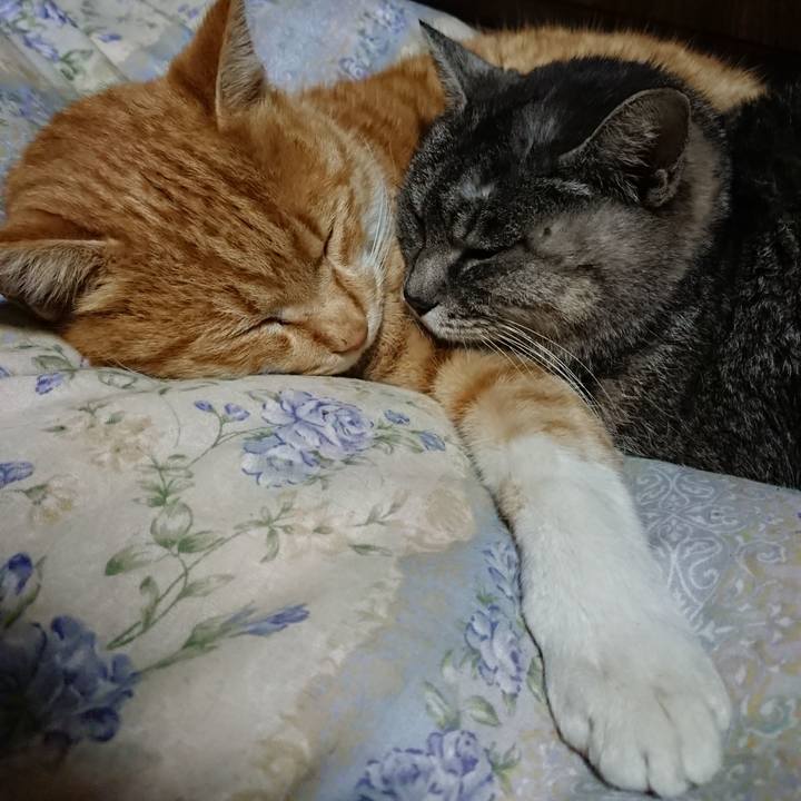 985a2802 a400 42ba ad23 991f93bbd5f0 1578658603396