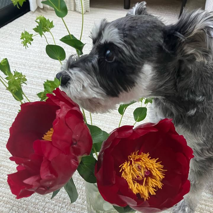 985a3df0 e849 4b86 bda4 cd38612ccb94 1747438877698