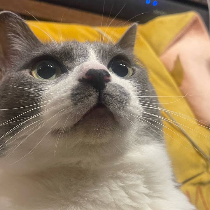 985a4e81 10fa 4b10 93ad a26576cec32f 1737562641096