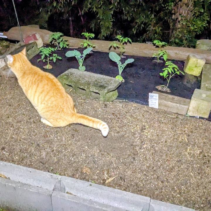 985a51c5 7704 46f0 a42d ddb292696b06 1775303427445