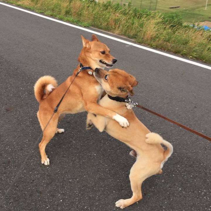 985a60b2 c8d6 4f22 b38e 74ab0658353e 1589085728780