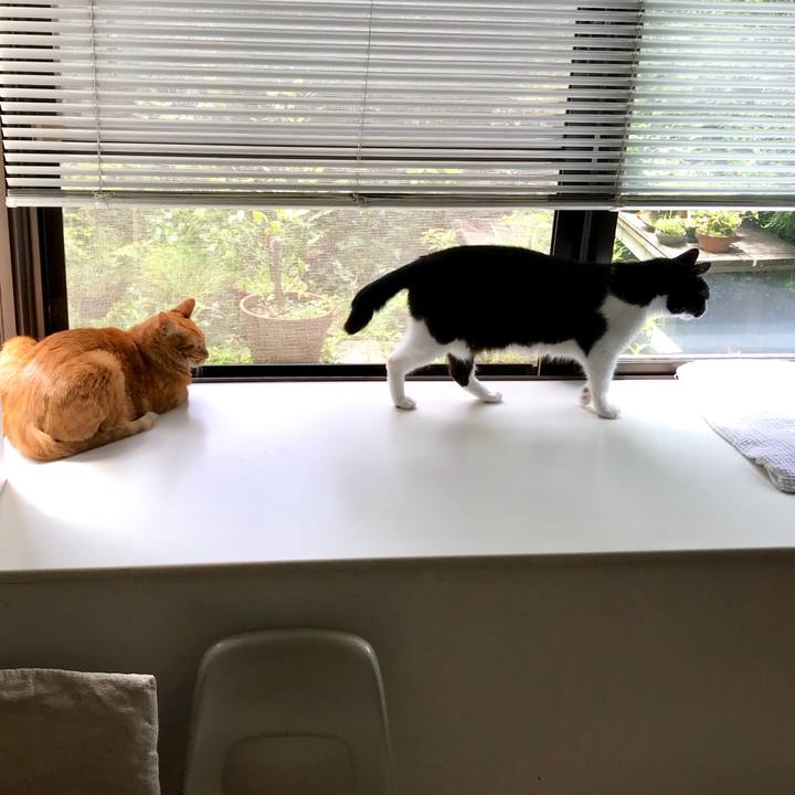 985a68c2 6b37 4478 b53a 813a5097a609 1530093743774