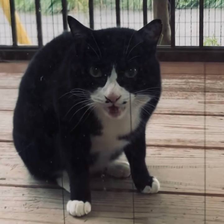 985ac02e 31af 45ff b289 77cad7894f81 1735473500367