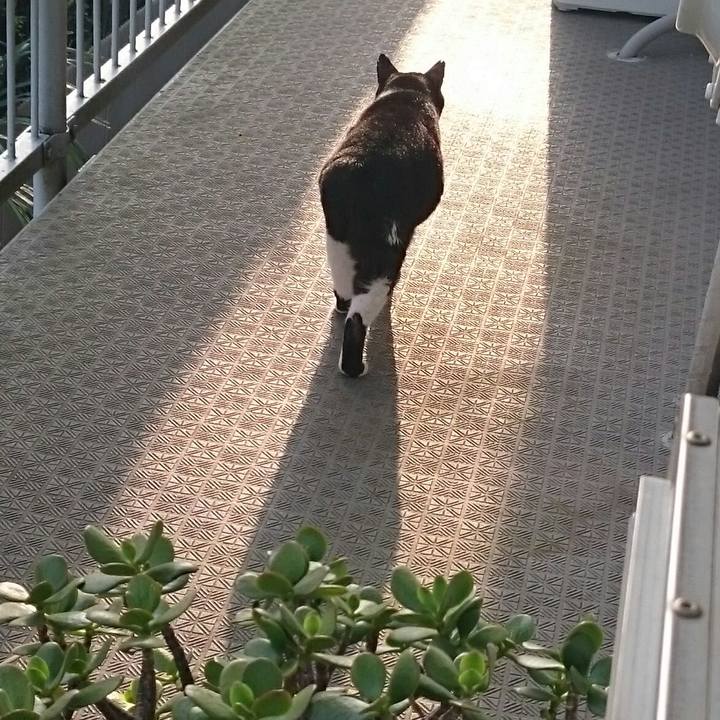 985ac557 f884 44eb a178 6cb9eea2b908 1522813428855