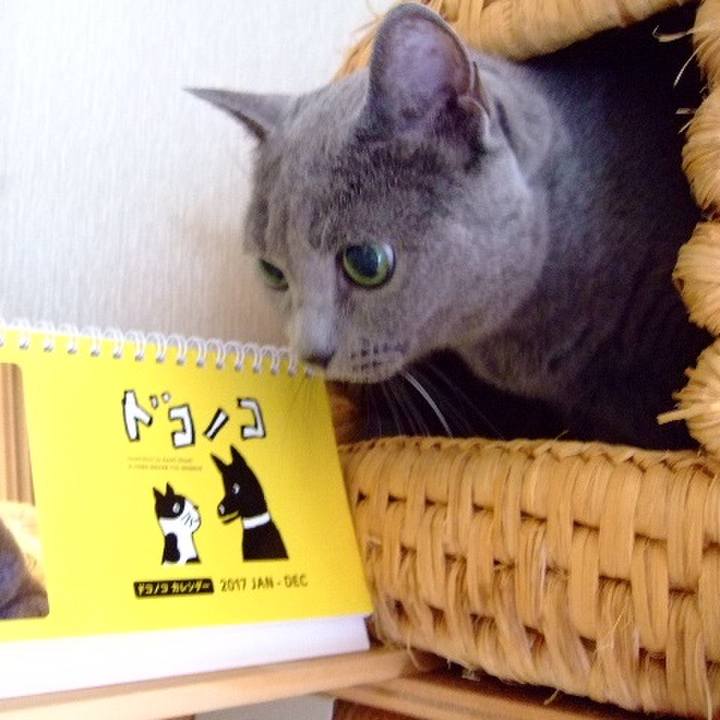 985ad9a5 eda0 46a6 b994 307353f2972b 1508031790143