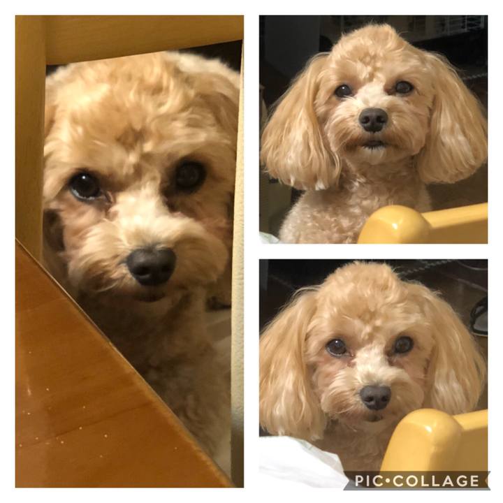 985ae327 332d 4dd4 85cb ffeacccc69da 1603561560995