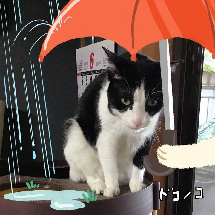 985b1382 7ee5 4362 8a6e dc87336a1269 1749115607971