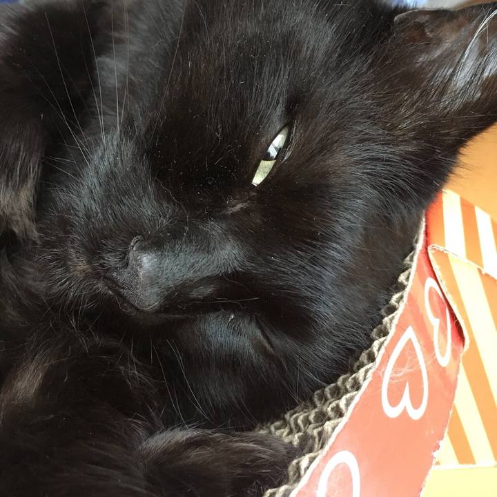 985b176c 607f 47b4 ab26 b69e5862c08b 1528428487284