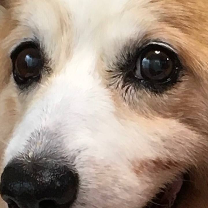 985b396d 63b4 4e21 a717 4e588132420a 1612617473039