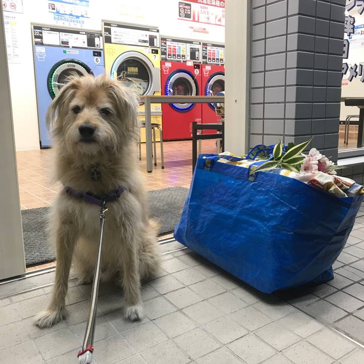 985b91bb b5fa 4e6e 8acd cd632e86ac69 1545917711048