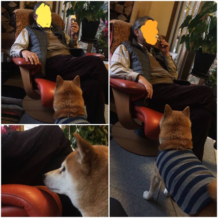 985b91d5 d630 46d7 bc06 3341449d34ac 1578811694879