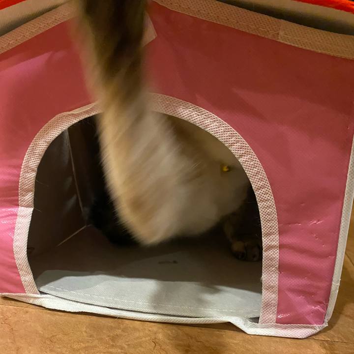 985bf809 5e10 4a70 8078 1889355bd867 1709890880719