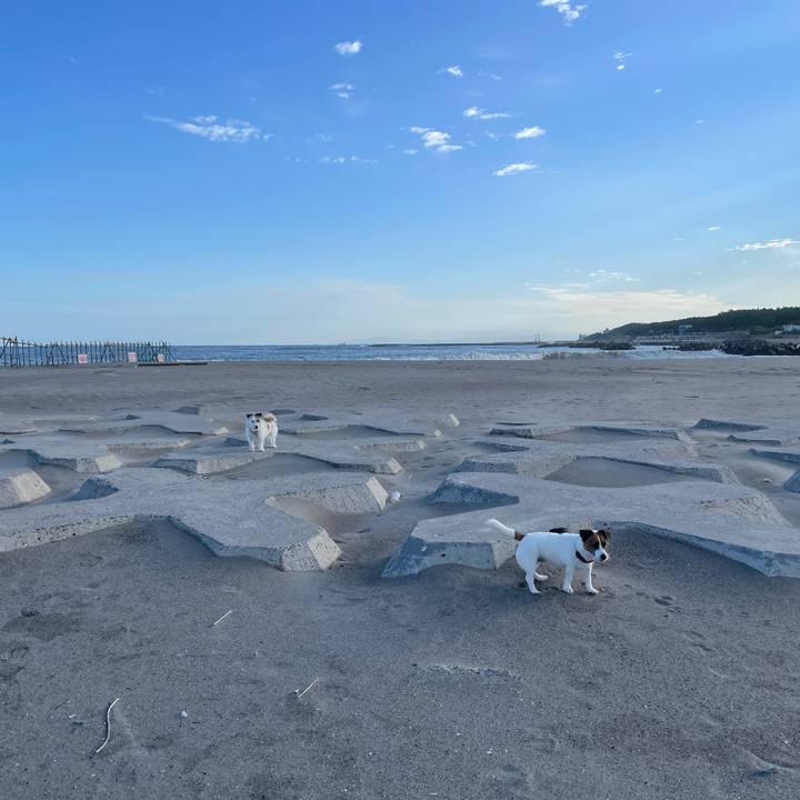 985c1d9a 182e 42a9 889b 687e9875f91a 1759794262004