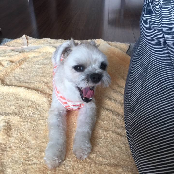 985c29bb 3900 4cad af34 44f5150ab736 1530102137801