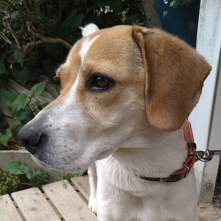 985c31a3 2b5c 4bd8 a3bc 00db54d9bd77 1621432781747