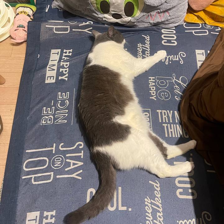 985c4778 7c02 426e 9944 7a13aa1b12e2 1745078690348