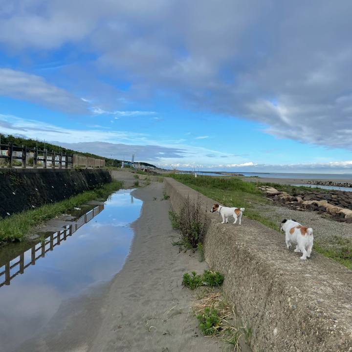 985c51ff 0cde 4a0e 8d79 761472043584 1630540416801