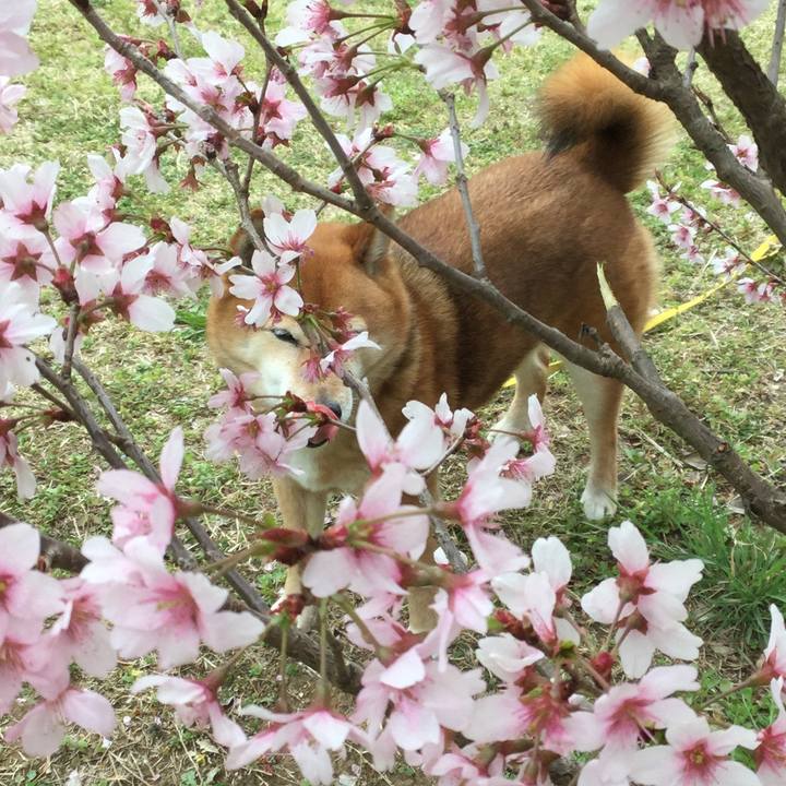 985c6af5 fd88 4e03 9754 921fbd03cd86 1553576964450