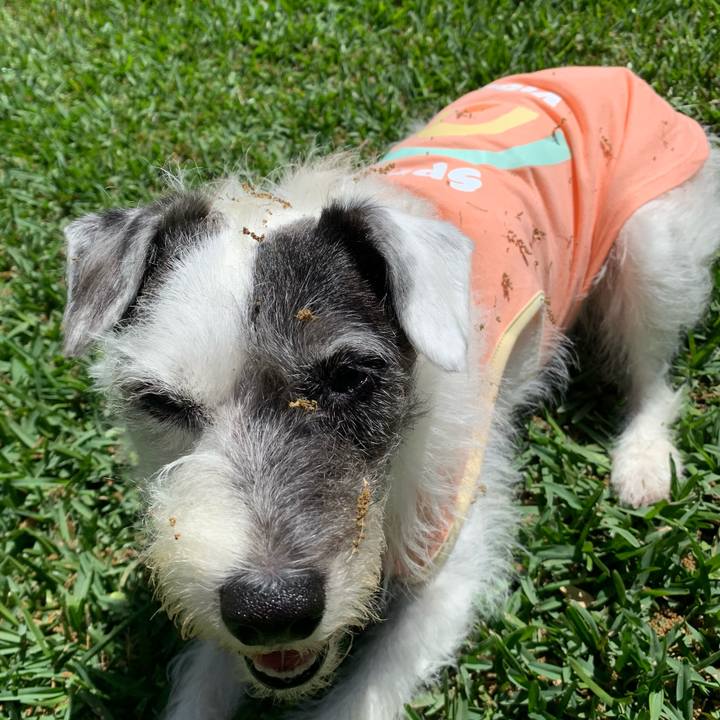 985cafd9 c3fd 4c47 b03e f390b275d077 1649542104697