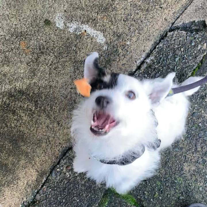 985cd1c1 21f4 4d00 a0c0 854d99f3e943 1719875551818