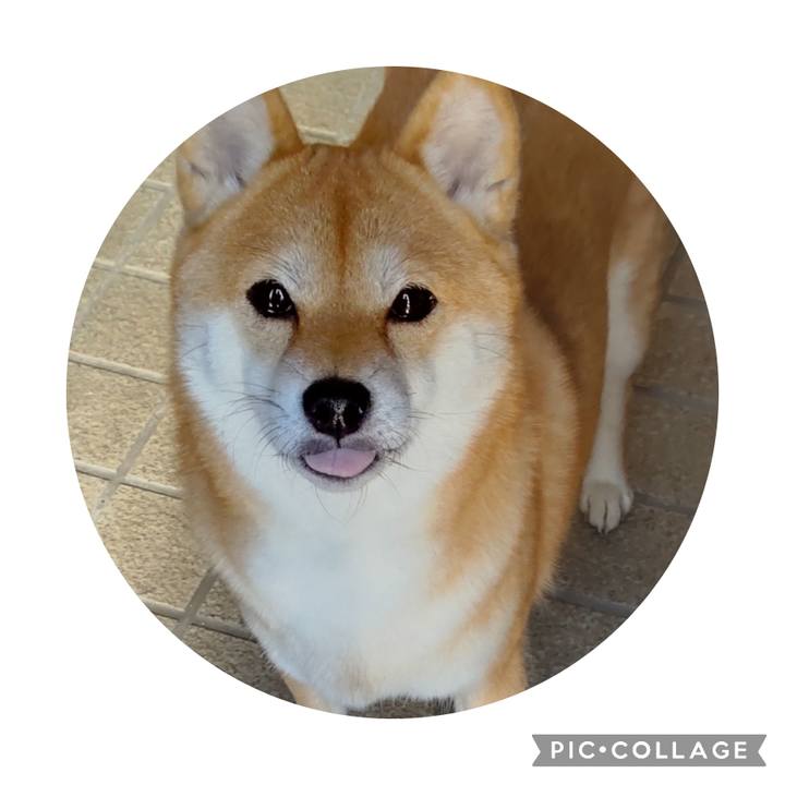 985cf35e a20e 4706 9c91 d7c6dd1b56a6 1701679603403