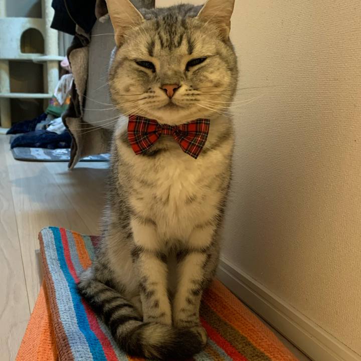 985d17b5 7411 478a 9805 0f46fe92f0ae 1580083487998