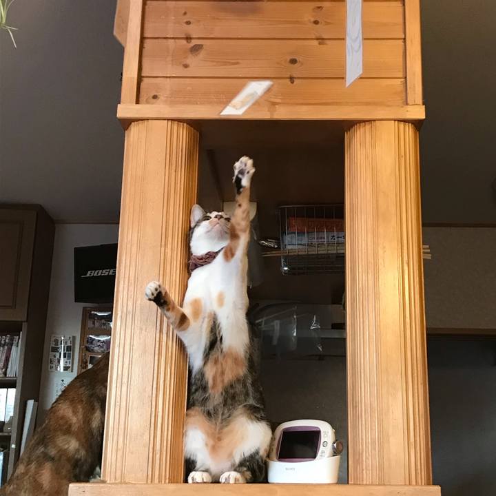 985d2463 d7a3 463c 8824 b6acde37304b 1638396518875